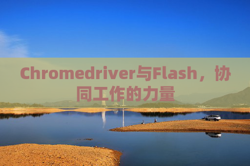 Chromedriver与Flash，协同工作的力量